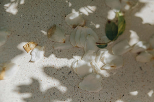 When Nothing Worked for Your Lichen Symptoms, What a Softer Approach Can Change