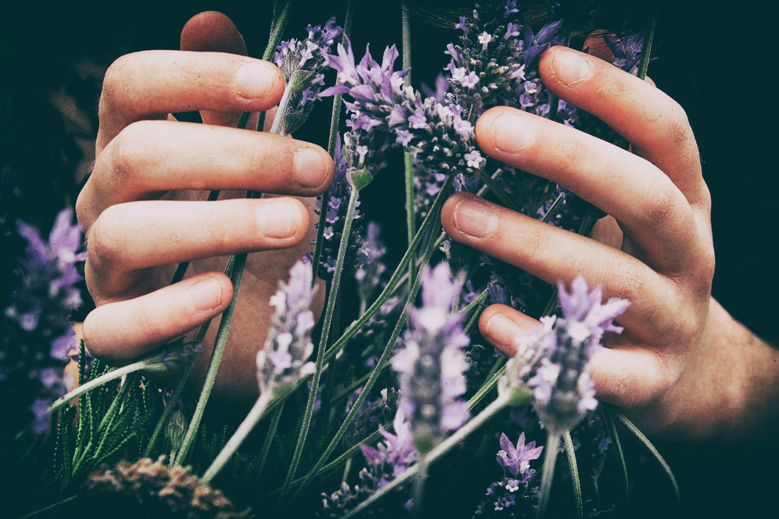 Holistic Stress Relief: Natural Herbs and Lifestyle Practices That Work