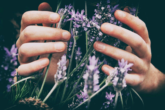 Holistic Stress Relief: Natural Herbs and Lifestyle Practices That Work